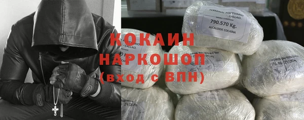 шишки Алексеевка