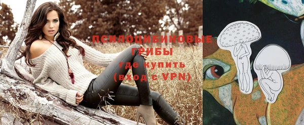 сатива Волосово