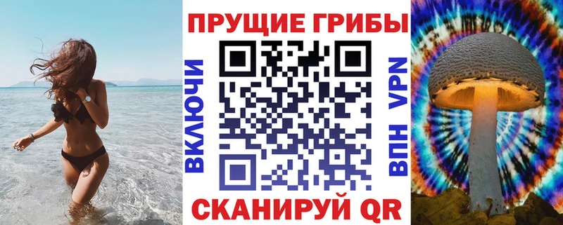 наркотики  ссылка на мегу как войти  Псилоцибиновые грибы мицелий  Железногорск 